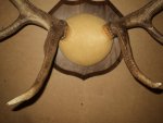 DSC01487.jpg