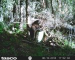 HUNT0053.jpg