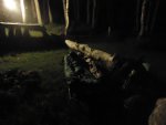 DSC00328.jpg