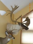 DSCN0385.jpg