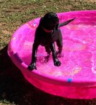 Jenny in pool.jpg
