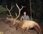 2013 Elk no Bow pic.jpg
