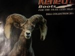 sheep.jpg