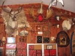 various_137[1].jpg