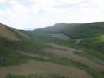 DSC00087.jpg
