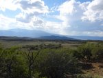 DSC00078.jpg