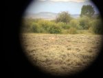 Wyoming 3.jpg