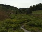 Wyoming 4.jpg