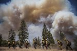 rim fire.jpg