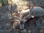 hunt 047.jpg