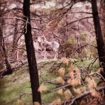 IMG_20130515_224422.jpg