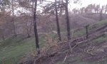 IMAG0081.jpg