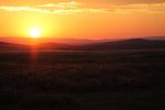 IMG_2108.jpg
