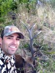 2014 WA Elk.jpg