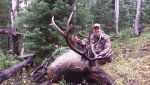 wyoming elk.jpg