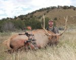 Colorado bull pinyon ridge cropped.jpg