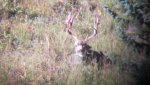 Hunting 2013 035.jpg