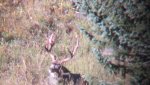 Hunting 2013 039.jpg
