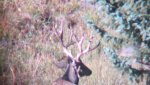 Hunting 2013 045.jpg