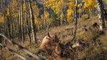 Hunting 2013 055.jpg