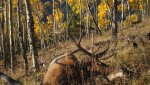 Hunting 2013 058.jpg