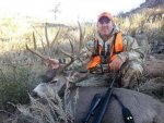 14 deer.jpg