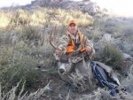 14 deer 1.jpg