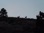 DSCF1058.jpg