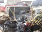 Ryans buck.jpg