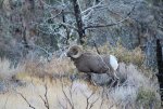 IMG_6467.jpg