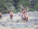 IMG_3054.jpg