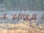 IMG_3072.jpg