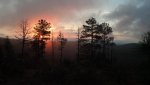 IMG_20141022_071553_588.jpg