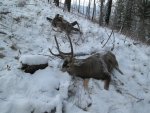 IMG_0263.jpg