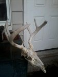 unnamed (15).jpg