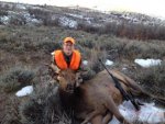 5th elk.jpg