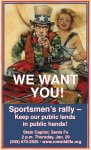 Rally poster online.jpg