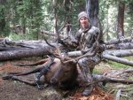 Eddies Elk 002.jpg