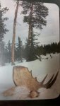 20141216_113316_resized (2).jpg