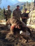 Jimmy's 2014 bear.jpg
