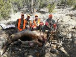 Joe's 2014 Colorado Bull.jpg