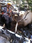 Nick's 5x5 bull.jpg