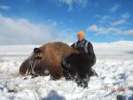 Bison, Nov 2014, WY, Bow.jpg