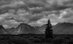 IMG_8478bw1.jpg