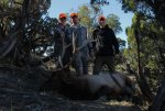 IMG_9503Bull1.jpg