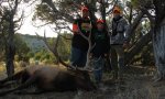 IMG_9407Bull2.jpg
