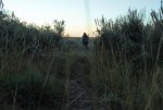 IMG_8745ant1.jpg