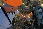 IMG_8784ant7.jpg