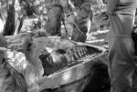 IMG_9568bw2.jpg