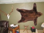 IMG_0296.jpg